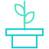 plant vase icon
